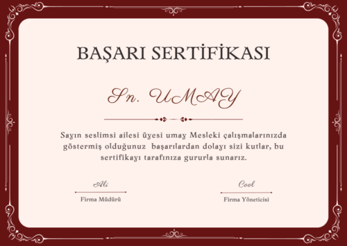 Mobil sesli sohbet sertifikaları sahibini buldu